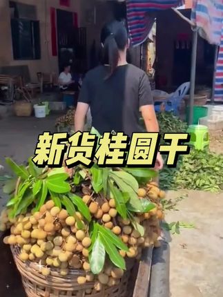 #优质农产品 #新鲜采摘 #桂圆干 #口感特别好 #好吃到停不下来