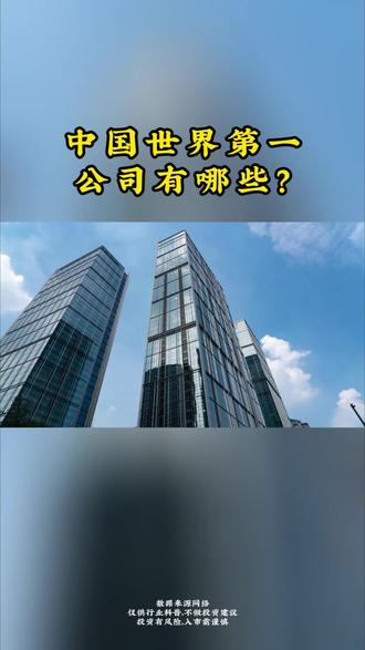 中国世界第一的公司,你知道还有哪些吗? #A股 #股票 #涨知识 #投研 #研报