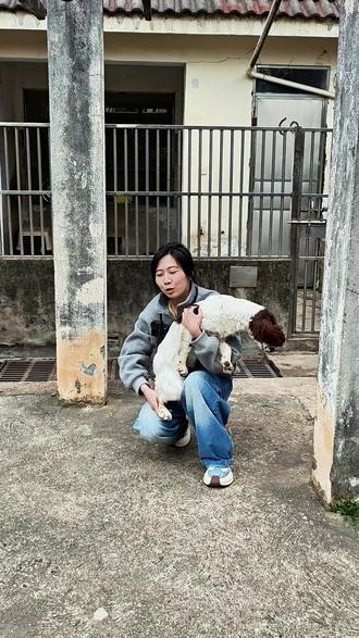 有关更多追踪犬闪电的精彩故事尽在特种兵学校第十二季,大家快去看吧。#警犬 #特种兵学校 #好书分享 #训练狗狗 #军事科普