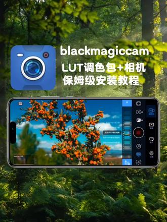 《輸小林工具箱解開》blackmagic cam lut调色套装 影视飓风lut下载 使用教程 blackmagiccam lut预设包 lut滤镜包下载 繁花lut滤镜预设包 blackmagiccamera#lut #lut调色套装#lut滤镜包 #blackmagiccam #lut预设