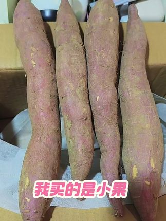 板栗红薯到手,果肉细腻香甜,软糯口感超赞!烤箱一烤,满屋飘香~✨🍠 #软糯香甜 #太好吃了