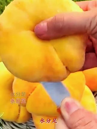#创作灵感 陕西黄金大蟠桃,脆甜多汁,放软糯甜爆#黄桃蟠桃#优质农产品 #无限回购的宝藏单品