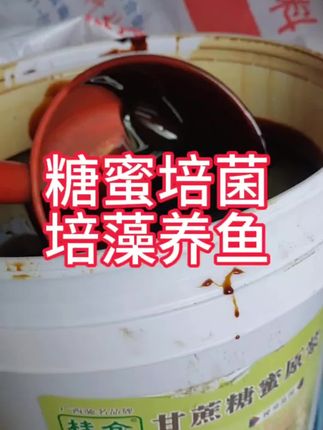 #糖蜜 #甘蔗糖蜜 #糖蜜原浆