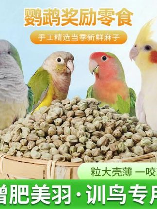甘肃新货鸟粮纸壳麻子玄凤牡丹小太阳和尚鹦鹉奖励零食鸟食增肥#手养鸟日常 #鹦鹉🦜 #萌宠好物 #训鸟 #萌宠鹦鹉