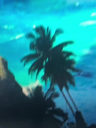 喜欢穿短裙但小腿粗的姐妹,一定要把短袜换成这双#小腿压力袜!一秒收紧赘肉 显腿细显腿直!#小腿压力袜 #显瘦穿搭