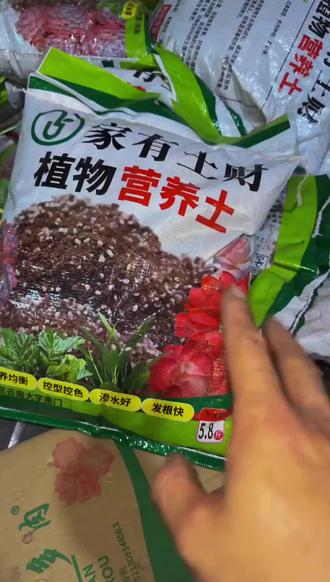API异常总捣乱?这样解决超省心!