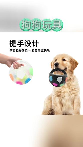 狗狗足球玩具 Qzee狗狗玩具提手发声足球玩具宠物消耗精力自嗨解闷互动趣味陪伴#宠物乐趣 #自嗨解闷 #狗狗玩具 #互动玩具 #提手设计