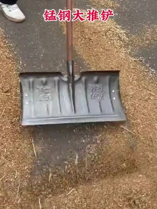 带轮子的锰钢大推铲 推粮推雪多功能 省时省力 实用耐用 #锰钢大推铲 #推粮铲 #推雪铲 #五金工具 #实用
