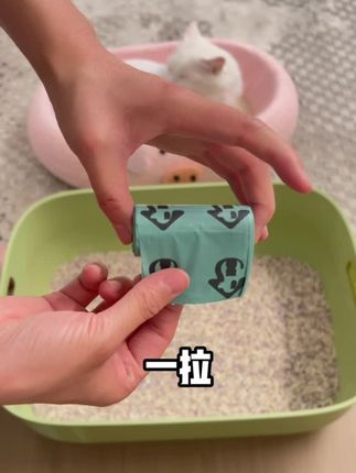 #萌宠好物 #养猫新手 #养猫人