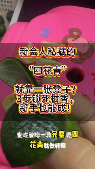 【新会人私藏的“四花青”做法,就靠一张凳子?3步锁死柑香,新手也能成!】
在家就能复刻地道新会四花青,步骤简单到颠覆想象,跟着做准没错~
步骤1:处理新鲜小青柑
•取新鲜小青柑,仔细清洗干净表面杂质。
•放在阳光下晾干水分(确保果皮干爽,避免后续霉变)。
步骤2:固定小青柑
•准备一张中间带孔的胶凳子(这不起眼的小物件,竟是处理小青柑的关键!)。
•将晾干的小青柑果蒂朝下,放进凳子的孔中固定好,防止操作时滑动。
步骤3:剥离果肉
•用小刀在柑果顶部轻轻切出十字形切口,注意控制力度,避免划破果皮。
•从十字口处慢慢将果肉向外翻,顺着果皮内侧将整个果肉从底部完整剥离,取下的果肉可直接丢弃,保留完整无损的小青柑皮。
步骤4:晾晒柑皮
•把处理好的柑皮平铺在阳光下,晒至微微变软。
•进行“反皮”操作:将果皮的四瓣摊开,让内侧朝下继续晾晒。
•保持此状态晒至完全干透,过程中柑皮会自然卷成美观的形状,既能锁住清香,又能保留营养精华。
步骤5:封存保存
•取一个干净无油的密封罐,将晒干的柑皮放入其中。
•盖紧盖子,隔绝潮气和异味,放置在阴凉干燥处保存。
•这样既能锁住柑皮的清香,还能让其慢慢陈化,味道愈发醇厚,随用随取很方便。
按这方法做好的四花青,不管配花材还是茶叶,那股子独特柑香能让人一口惊艳~ 原来传统手艺藏着这么多巧思!#新会四花青皮