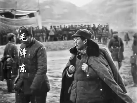 六朝旧事随流水,但寒烟衰草凝绿
#领袖