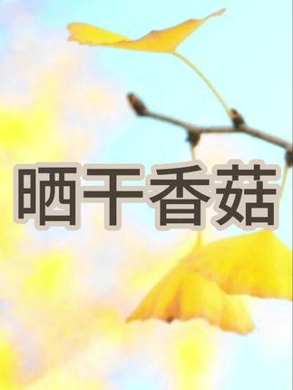 福建古田香菇干