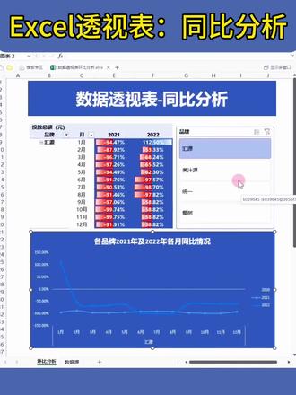 Excel数据透视表高能操作:同比分析 #excel数据透视表 #数据透视表 #Excel一对一 #数据分析 #数据可视化