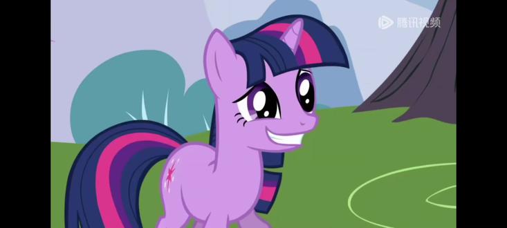 谁怎么会不接受这么一只可爱的柔柔呢