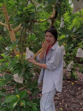 【坏果包赔】秘鲁进口哈斯牛油果当季新鲜水果100-240g宝宝果辅食