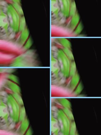 #种子