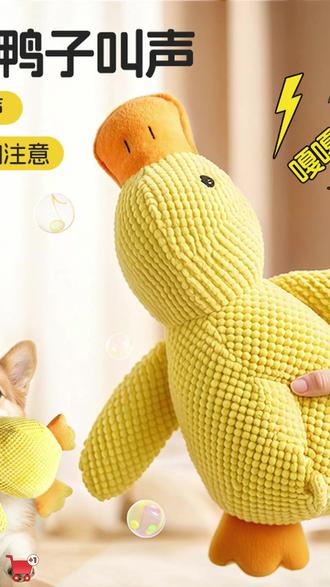 哪只狗狗还没有一只小黄鸭? #狗狗玩具 #宠物毛绒玩具 #萌宠好物推荐 #发声玩具 #鸭子