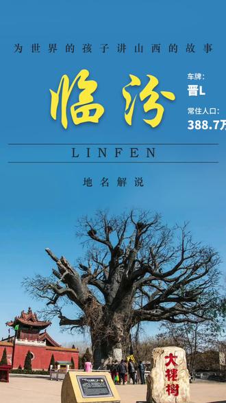 #我要上热门 #山西 #临汾 #小西天 #壶口瀑布 该地被誉为 “华夏第一都”,别称平阳、卧牛城、花果城,是华夏民族的重要发祥地之一和黄河文明的摇篮;是华北地区重要的粮棉生产基地,盛产小麦、棉花等,素有“棉麦之乡”和“膏腴之地”美誉。该地又是山西省域副中心城市, 是山西省新型能源和工业基地建设的重要组成部分。该地自然资源丰富,是中国三大优质主焦煤基地之一;该地非物质文化种类繁多,有蒲州梆子、威风锣鼓等多种民间艺术形式,被誉为“梅花之乡”“剪纸之乡”和“锣鼓之乡”。它就是山西省下辖的临汾市。
临汾是中华民族发祥地之一,《帝王世纪》称:“尧都平阳”,即今临汾。《禹贡》分天下为九州,平阳为冀州之地。
西周时期,周成王封弟叔虞于唐(今翼城),因唐境内有晋水,叔虞之子燮父“易唐为晋”。春秋,属诸侯国晋,晋文公北方称霸时,晋国的中心就在今曲沃、侯马、襄汾一带。战国初期,韩、赵、魏“三家分晋”,韩建都平阳。
临汾历史悠久,古为帝尧之都,因地处汾水之滨而得名,至汉代始称平阳。周敬王六年(前 514),晋分祁氏、羊舌氏之田为 10 县,平阳为其一。2000 年 8 月经国务院批准,撤地设立地级临汾市。
临汾自然景观丰富,其中黄河壶口瀑布,位于临汾市吉县壶口镇延壶路,是中国第二大瀑布,世界上最大的黄色瀑布。黄河奔流至此,两岸石壁峭立,河口收束狭如壶口,故名壶口瀑布。瀑布上游黄河水面宽 300 米,在不到 500 米长距离内,被压缩到 20—30 米的宽度。1000 立方米每秒的河水,从 20 多米高的陡崖上倾注而泻,形成 “千里黄河一壶收” 的气概。
云丘山,位于临汾市乡宁县,是国家 5A 级旅游景区。云丘山自然风光秀丽,景色迷人,有 “河汾第一名胜” 的美誉。山上有千年古村落、道教建筑、自然景观等众多景点,如塔尔坡古村、玉莲洞、五龙宫等,是一个集自然风光、历史文化、民俗风情为一体的旅游胜地。
临汾还有丰富的历史文化遗产,如洪洞大槐树、尧庙、华门等,是研究中国古代历史和文化的重要遗址。其中洪洞大槐树,位于临汾市洪洞县,是全国以 “寻根” 和 “祭祖” 为主题的唯一民祭圣地,国家 5A 级旅游景区。洪洞大槐树是移民文化的代表,明朝时期,这里是大规模移民的出发地和集散地,如今已成为全球华人寻根祭祖的重要场所。
让更多的人知道临汾,知道临汾为什么叫临汾。