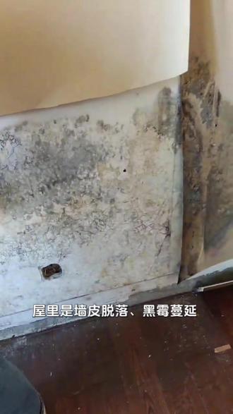 家住一楼、有老人孩子的家庭,最怕的从来不是墙面发霉难看,是看不见的霉菌隐患。梅雨季墙面返潮长霉,霉菌孢子满屋子飘,老人孩子呼吸道敏感,轻则咳嗽过敏,重则影响健康,补漆治标不治本,天天提心吊胆。 圭玉纯无机涂料,天然矿物配方,和石头一样不会被霉菌啃食,从根源杜绝霉变,防潮耐造,给家人安心的呼吸环境。 做社区家装、老房翻新的同行,抓准这个健康刚需,口碑生意越做越稳,欢迎交流。#墙面防霉 #防霉涂料 #圭玉纯无机涂料 #墙面返潮怎么办 #防潮涂料