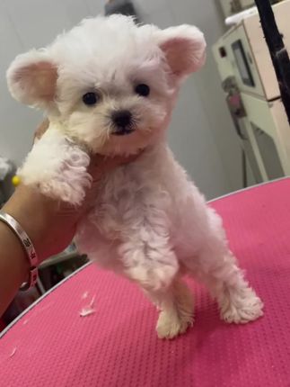 看见长大后的模样了😻#无处安放的小jio #没错是我的腿呀 #万能的抖音