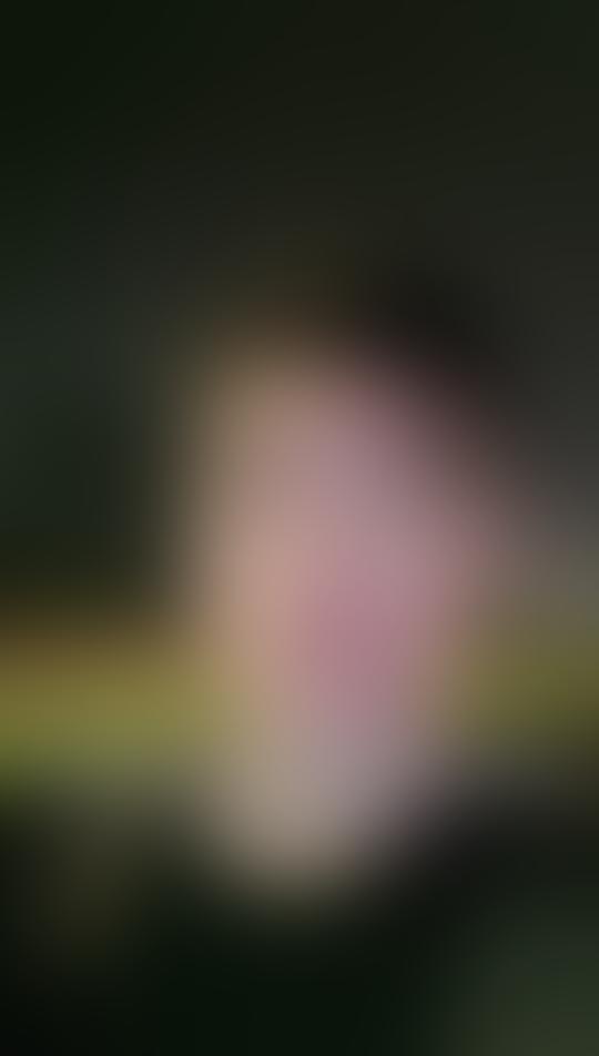 现在c++的主流编译器 - 抖音