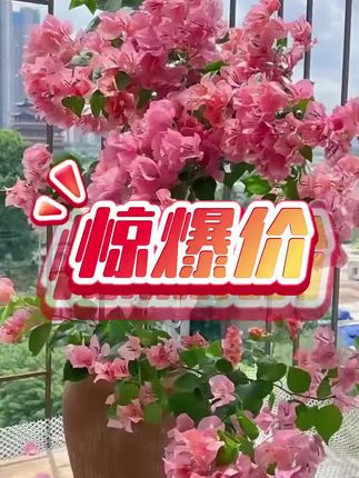 #书包#儿童书包#拉布布书包#可爱书包#背包