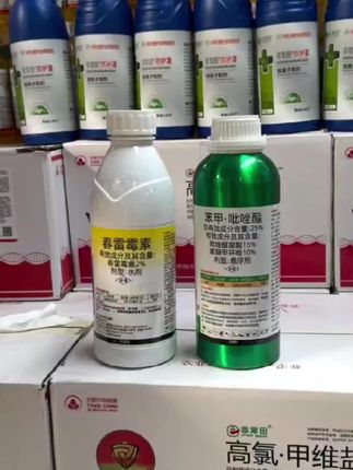 农业生产中重要的病害防治药剂。它可以用于防治多种农作物的病害,如水稻纹枯病、稻瘟病,小麦锈病、赤霉病,蔬菜的霜霉病、疫病等。在水稻种植中,适时喷施抗菌防护罩可以有效控制稻病的发生和蔓延,提高水稻的产量和品质。在蔬菜种植过程中,针对常见的霜霉病,使用非常田抗菌保护罩进行喷雾防治,能够迅速抑制病菌生长,减少病害对蔬菜叶片和果实的损害,保障蔬菜的丰收,需要的农友赶紧下单。#农业种植 #病虫害防治 #非常田防护罩 #分享农业知识帮农民增产增收 #抖音助农