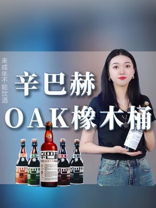 想要夏天过得去,晚上必喝辛巴赫~干杯!🍻#辛巴赫 #辛巴赫精酿啤酒 #烧烤呀撸串呀 #夏日饮品