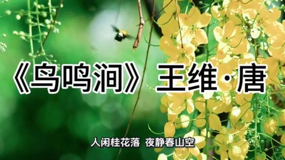 月出惊山鸟,时鸣春涧中#爱上古诗词#古诗词之美#王维#古诗古韵 #于倩原声