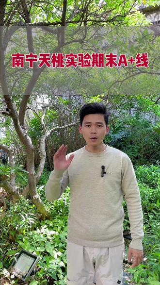 南宁天桃实验学校#畅翔甘老师#快提分甘老师#南宁甘老师#南宁初升高 #南宁中考政策解读