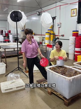 海蜇大角硬脆的有海蜇味#福州人福州话