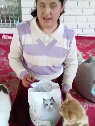 #猫咪上热门 #猫咪喜欢吃的猫粮推荐。 #猫粮