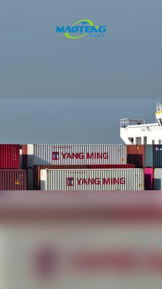 阳明海运2026Q1暂不复航红海 定调“审慎偏乐观”营运基调 #热点新闻事件 #国际物流 #海运 #外贸 #出口