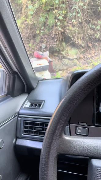 新年新气象把我的普桑开出来兜兜风 #你们的普桑在哪里 ?