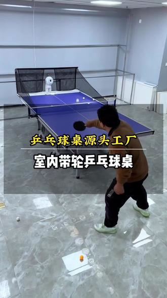 国标乒乓球桌搭配发球机~随时随地想玩就玩~#618好物节 #乒乓球桌 #专业乒乓球桌 #乒乓娱乐 #乒乓球台