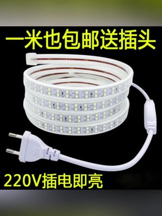 【1米送插头】led灯带220户外家用高亮插电客厅灯带工程防水灯带#好物推荐🔥