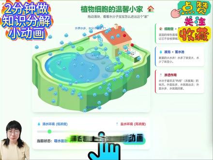 @DOU+小助手 @DOU+上热门 #热门 #教师#飞象#课件制作#AI教师