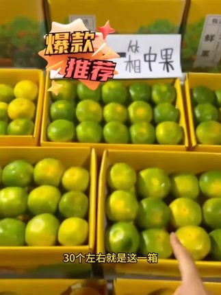 5斤大芬四号蜜橘现摘现发青皮蜜橘子薄皮多汁酸爽甜新鲜应季水果#好用 #热门推荐 #爆款