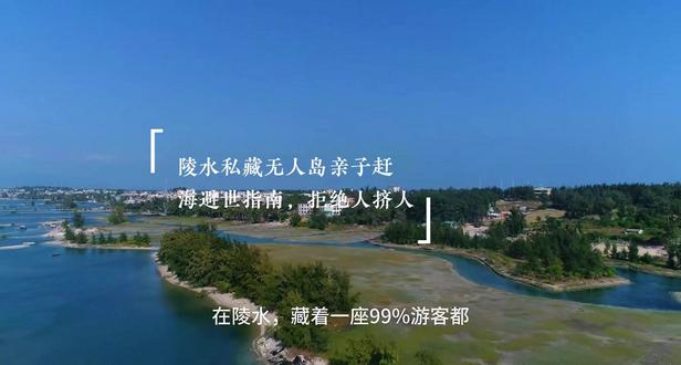 陵水度假天花板,藏在无人岛的赶海自由,亲子必冲 #陵水攻略#海边#带你去赶海#海边露营