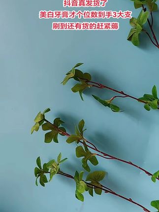 #好物推荐🔥 #美白牙膏 #色修牙膏 #芙曼尼康 #亲测分享