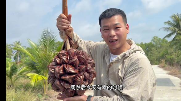 水椰子,水果猎人杨晓洋老师之前在纪录片水果传有拍摄到这款水椰子,口感真心不错#水椰子