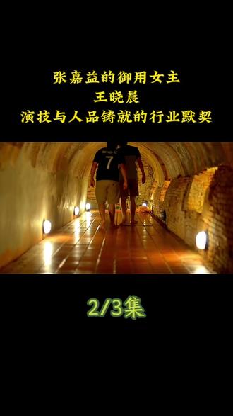 张嘉益的御用女主:王晓晨,演技与人品铸就的行业默契#王晓晨 #娱乐