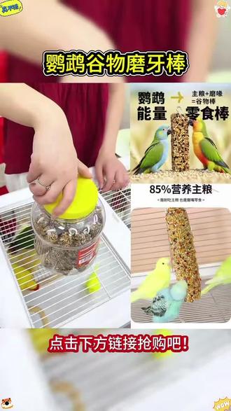 鹦鹉磨牙棒食物磨嘴零食棒磨嘴器鸟用磨牙棒补钙五谷杂粮棒磨牙棒 #鹦鹉磨牙棒 #食物磨嘴 #零食棒 #磨嘴器 #五谷杂粮棒