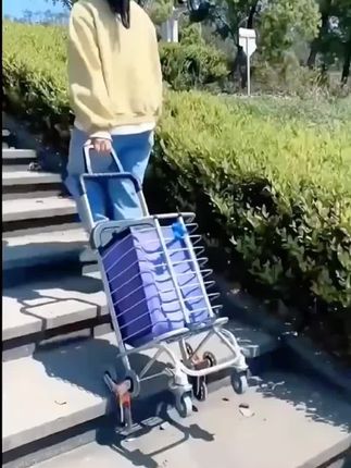 #买菜车小拉车可折叠取快递手推车购物车便携爬楼家用搬运轻便拉货#好物推荐#好物分享
