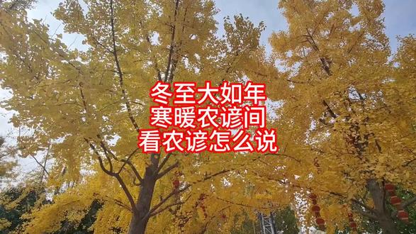 冬至大如年,寒暖农谚间,看农谚怎么说 #抖音创作伙伴计划 #我的乡村生活 #短视频变现话题