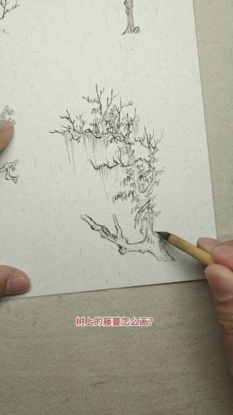弘仁树藤画法 画藤用笔要劲挺,有书写感#绘画 #山水画 #国画入门 #一起来画画 #山水画教程