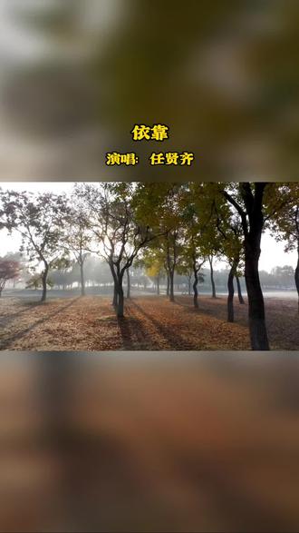 《依靠》是歌手任贤齐演唱的国语流行歌曲,由音乐人小虫于1996年创作词曲,收录于同年6月14日发行的同名专辑。 #音乐分享 #依靠 #任贤齐