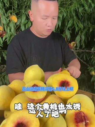 贵州高山黄桃现摘现发新鲜爆汁当季时令水果#好物推荐#新款必备#精选推荐