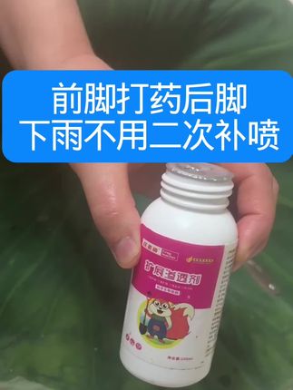 前脚打药后脚下雨不用补喷#卵磷脂