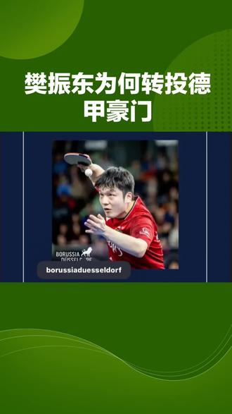 樊振东转会了#喜欢上樊振东一点也不难 #樊振东 #樊振东小胖 #乒乓球 #樊振东比赛现场